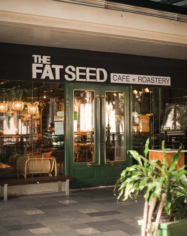 The Fat Seed Cafe + Roastery Greenbelt